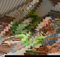 Birdworld Kuranda - SA Accommodation