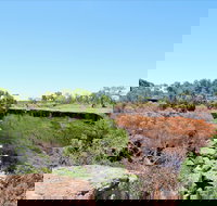 Bladensburg National Park - SA Accommodation