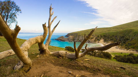 Blowhole Beach - SA Accommodation 0