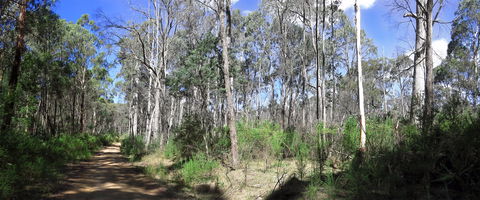 Blue Range Camping And Picnic Area - SA Accommodation 1