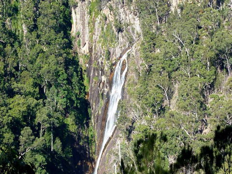 Carrai National Park - SA Accommodation 0