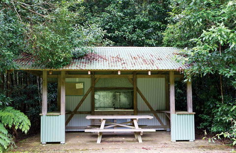 Coachwood Picnic Area - SA Accommodation 0
