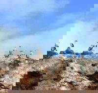 Dirk Hartog Island National Park - SA Accommodation