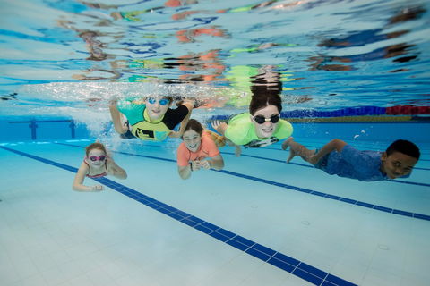 East Maitland Aquatic Centre - SA Accommodation 1