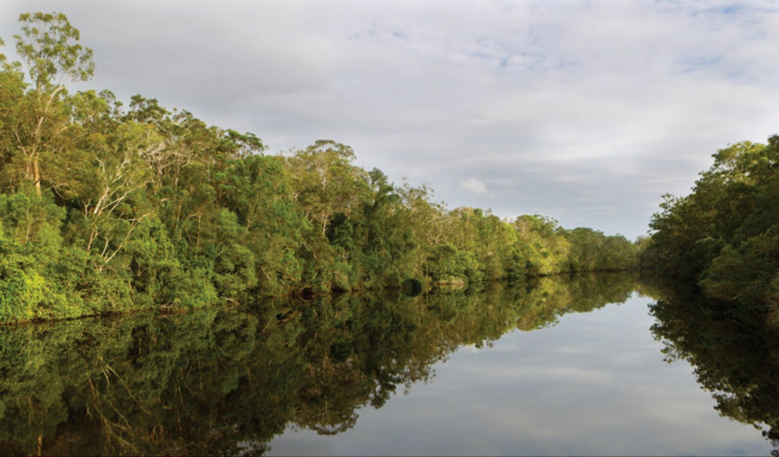 The Freshwater NSW SA Accommodation