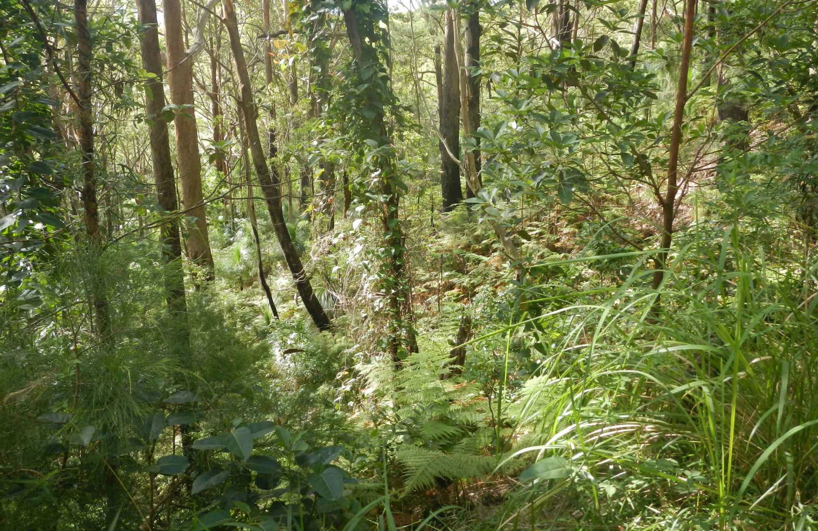 Arakoon NSW SA Accommodation