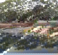 Green Corridor Walking Track - SA Accommodation