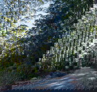Hastings Forest Way Touring Route - SA Accommodation