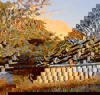 Illamurta Springs Conservation Reserve - SA Accommodation
