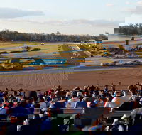 Ipswich Motorsport Precinct - SA Accommodation