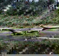 Kayaking Upper Tuross River and Bumbo Lake - SA Accommodation