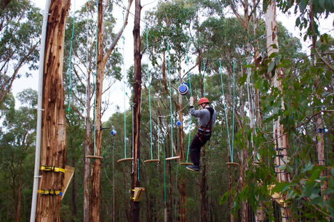 Kinglake Forest Adventures - SA Accommodation 0