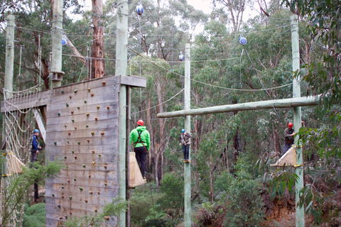 Kinglake Forest Adventures - SA Accommodation 1