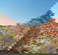 Lark Quarry Conservation Park - SA Accommodation