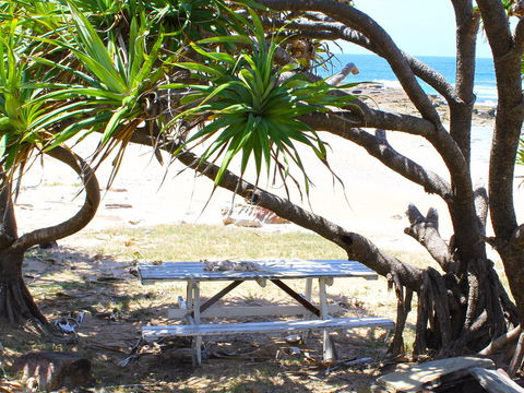Little Shelley - SA Accommodation 2