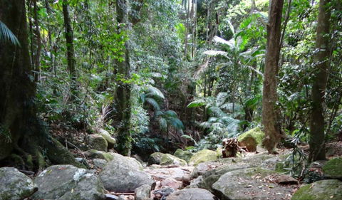 Lyrebird Track - SA Accommodation 0
