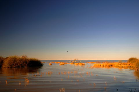 Malkumba-Coongie Lakes National Park - SA Accommodation 0