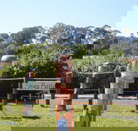Maryboroughs Bollards - SA Accommodation