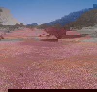 Meekatharra - SA Accommodation