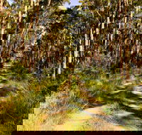 Mining Road Fire Trail Old Gibber Road Rire Trail - SA Accommodation