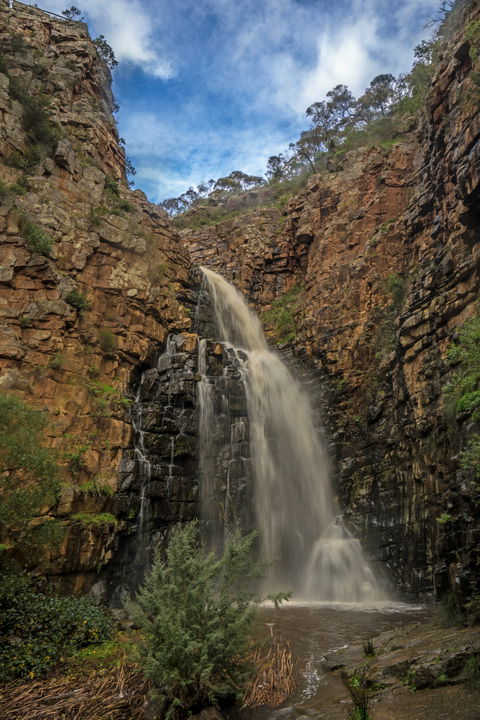 Morialta Conservation Park - SA Accommodation 0