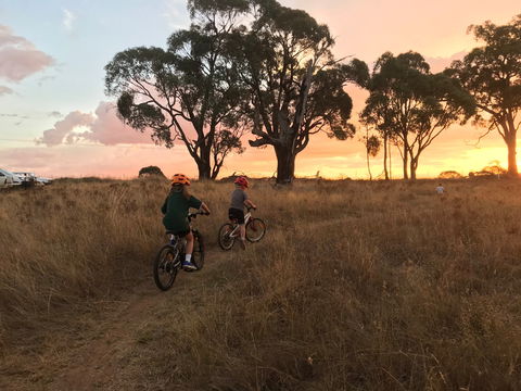 Mountain Bike Trails Tumbarumba - SA Accommodation 2