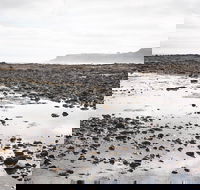 Mushroom Reef Beach - SA Accommodation