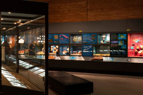 Museum Of Central Australia - SA Accommodation 0
