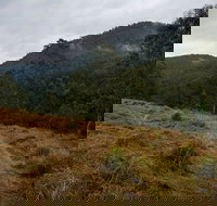 Nowendoc National Park - SA Accommodation