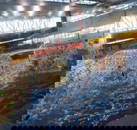 Oasis Regional Aquatic Centre - SA Accommodation