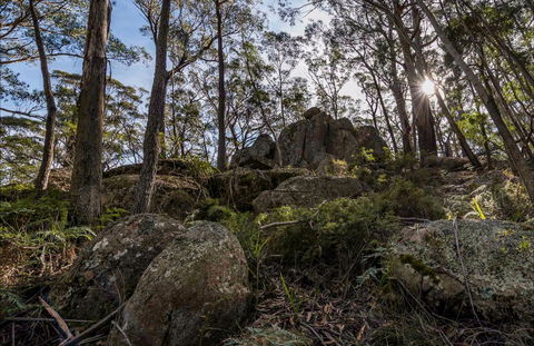 Pheasants Peak Walking Track - SA Accommodation 0