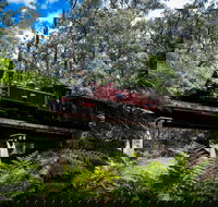 Puffing Billy Railway - SA Accommodation