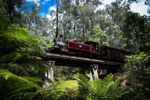 Puffing Billy Railway - SA Accommodation 0