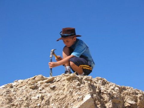 Richmond Fossil Hunting Sites - SA Accommodation 0