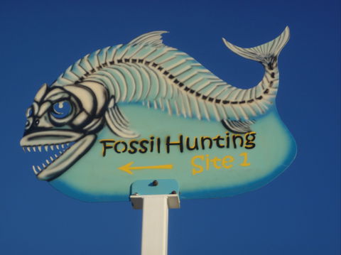 Richmond Fossil Hunting Sites - SA Accommodation 1