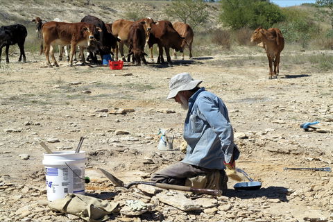 Richmond Fossil Hunting Sites - SA Accommodation 2