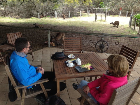 Rustic Blue Gallery Cafe Day Spa - SA Accommodation 2