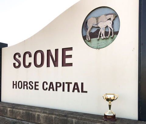 Scone - SA Accommodation 1