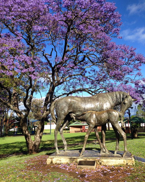 Scone - SA Accommodation 2