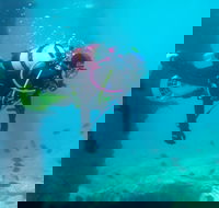 Shellharbour Scuba  and Photography Centre - SA Accommodation