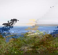 Slingsbys Trail and Syndicate Ridge Track - SA Accommodation