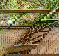 Somersby Falls walking track - SA Accommodation