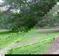 St Albans Reserve - SA Accommodation