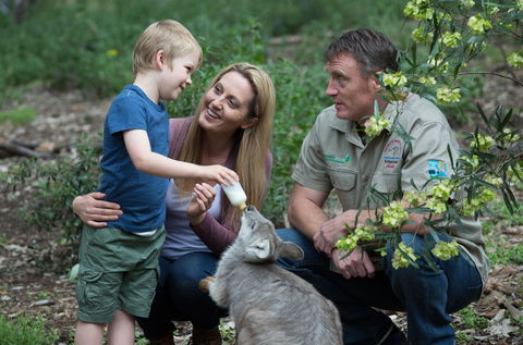 Tamworth Marsupial Park And Adventure Playground - SA Accommodation 0