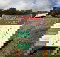 The Wallaby Track - SA Accommodation