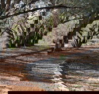 Warrego Floodplain walking track - SA Accommodation