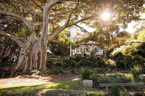 Wendy Whiteley's Secret Garden - SA Accommodation 0