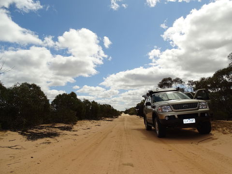 Wyperfeld National Park - SA Accommodation 1