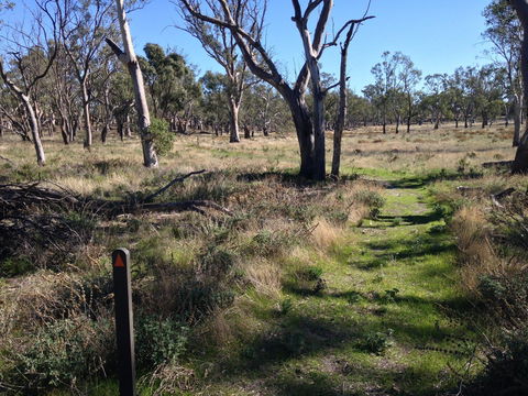 Wyperfeld National Park - SA Accommodation 2