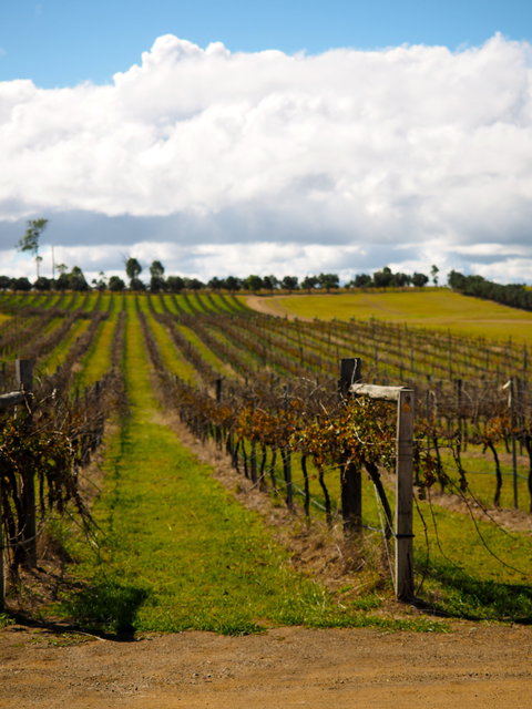 Blackbutt To Bunyas - SA Accommodation 1